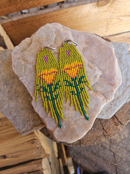 California Poppies - Green