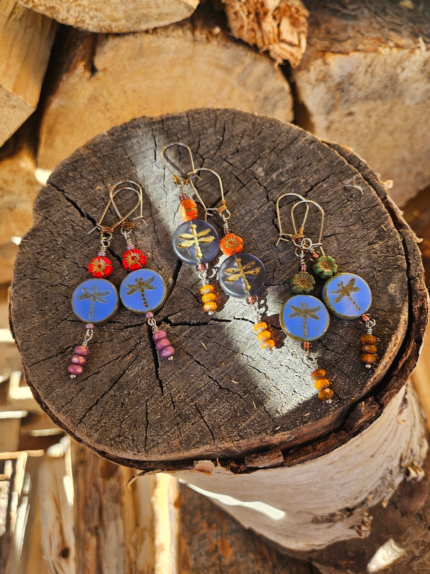 Dragonfly Garden