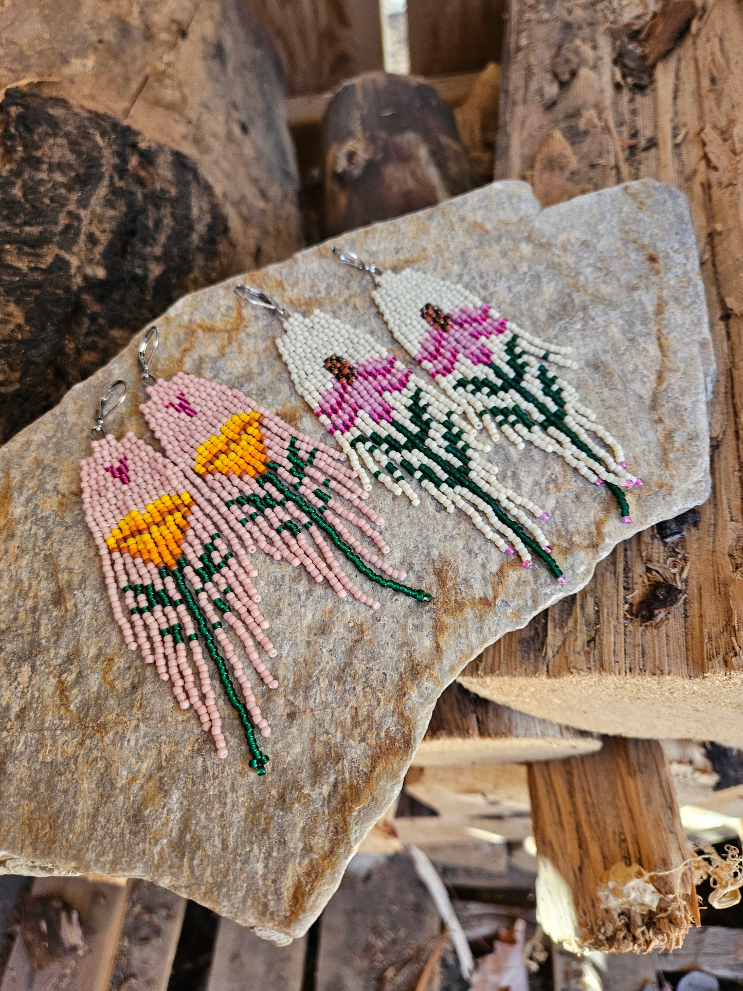 Coneflower - Echinacea