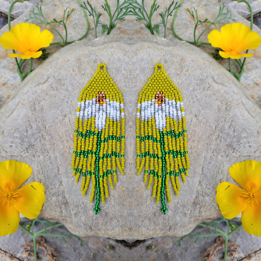 Summer Daisies